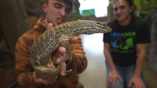 “They Call It an Australian Collection”… But Some of These Animals Can Kill You