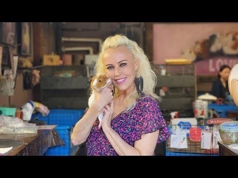 Guinea Pigs live!!!!!!!!!!!