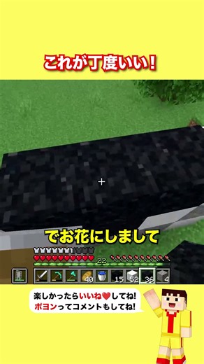 これが丁度いい！【マイクラ】