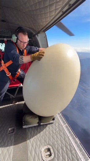 Dinosaur Egg Turns Into Magical Nectar! 😱🦖