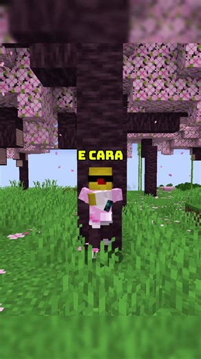 Minecraft Java Mods: Seed do Balacobaco