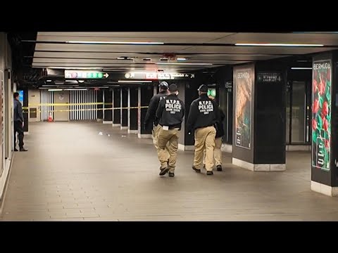 Man with machete shot and killed by NYPD after slashing people at Grand Central Station