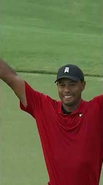 Absolute chills 🐅
