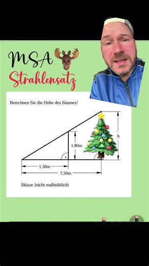 Msa Strahlensatz #msa #zp10 #strahlensatz #mathematics #mathechecker