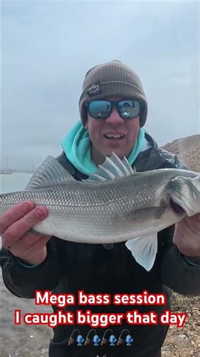 Catching 8 Monster Bass in Milford Backwaters (Peeler Crab Bait!)