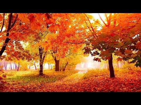 "September Autumn Peace" Beautiful Relaxing Music, Peaceful Soothing Music by Tim Janis