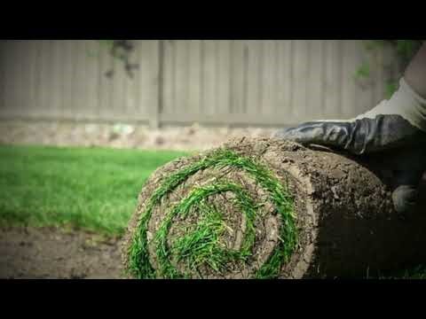 615 Sod: Nashville’s Top Choice for Lush, Professional Sod Grass Installation