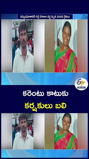 కరెంటు కాటుకు కర్షకులు బలి#Farmers #ElectricShock #FarmerDeaths #Agriculture #FarmerSafety