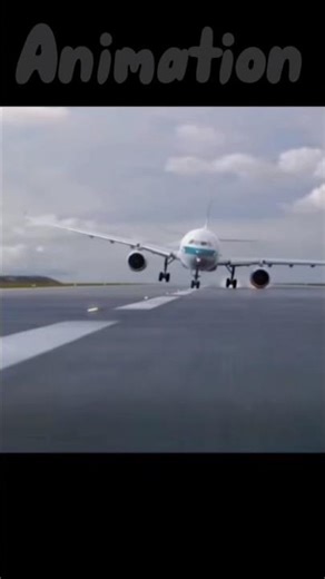 Animation Vs Real Life [ Cathay Pacific Flight 780]