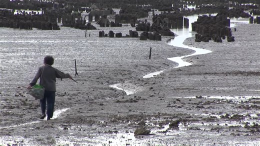 The era of fear that silenced an entire population - White Terror in Taiwan