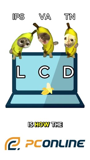 IPS vs VA vs TN Explained — What’s the Real Difference?