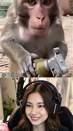 ‎“This Monkey Literally Exploded”😭🤣 Funny Reaction [PART 1] #funny #shorts