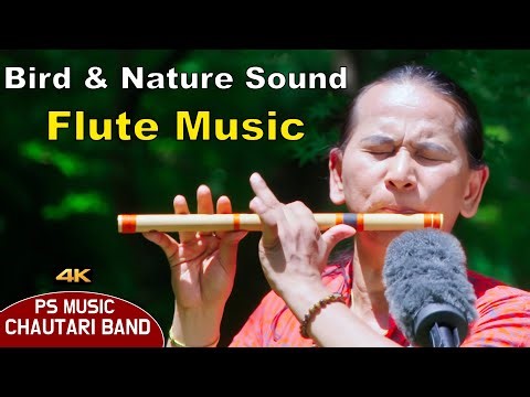 Flute Music | Basuri Dhun | Bansuri Song | Flute Solo With Nature & Bird Sounds | Instrumental Music