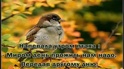 Видео 319 | OK.RU