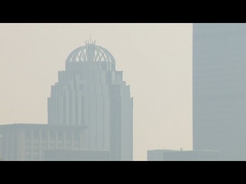 Doctors link air pollution to sinus infections and chronic congestion