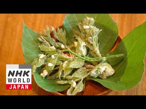 Master Chef's Class: Chef Kuwakino's Sansai Tempura - Dining with the Chef