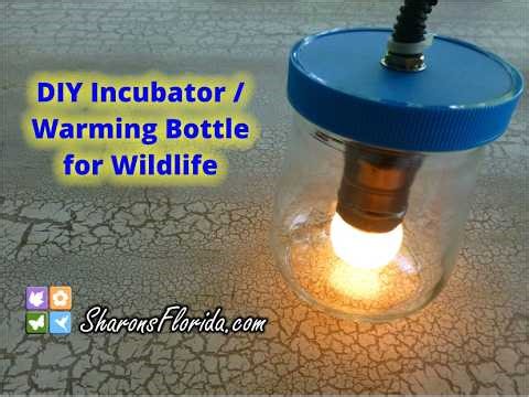 DIY Incubator / Warming Bottle for Wildlife