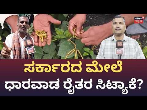 Drought List Sparks Farmers’ Anger in Dharwad: ಬರ ಘೋಷಣೆಯಲ್ಲಿ ಮಲತಾಯಿ ಧೋರಣೆ ನಡೀತಾ..? N18V