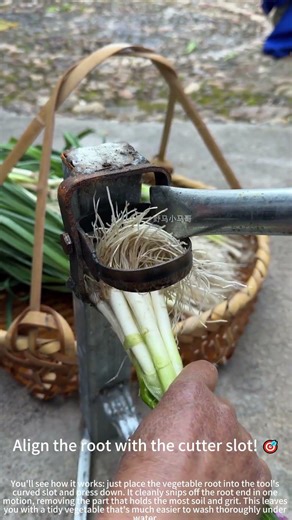 Trimming veggie roots with a curved tool! ✂️