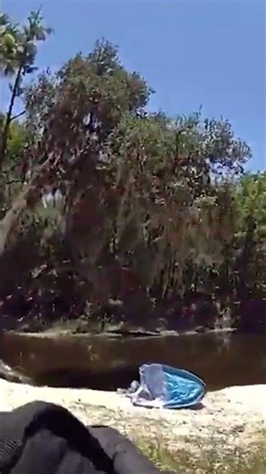 New Bodycam Shows Florida Deputy Try to Save Woman Suffering from Gator Attack #shorts