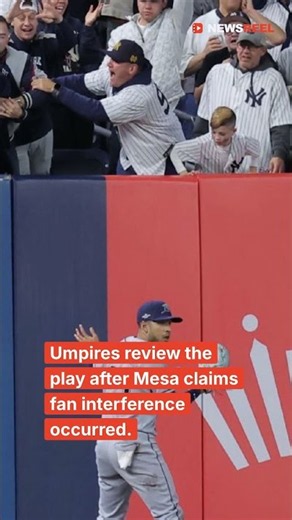 Fan Interference Costs Yankees Game-Tying HR vs. Rays