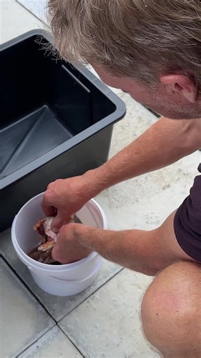 Caught Eating Fish Scraps After Filming How-To Fish Smoking Video