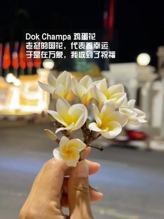 睡前邮箱弹出来信提醒，来自老挝由于没有VPN，我点不开翻开相册回想旅行真有趣很多人也许就这一面，没有然后 淡淡的青柠香是属于老挝的味蕾记忆。#东南亚独自旅行 #老挝万象#旅行的意义 #创作者中心 #创作灵感