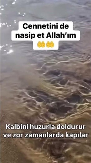 Allah'ım, biz senden razıyız; sen de bizden razı ol.🤲🏻 Amin☝️🤲🏻🌹