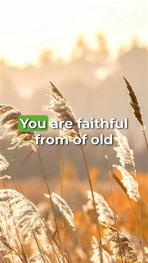 “You Are Faithful” - The Good Soil Worship