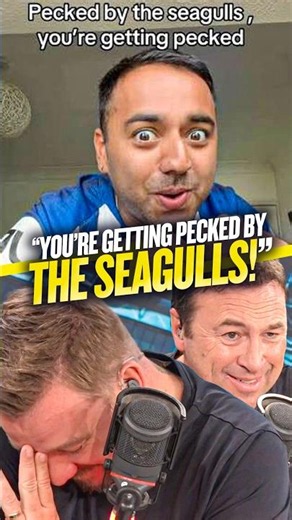 You're getting pecked by the seagulls! 💙🤍 #football #premierleague #brighton