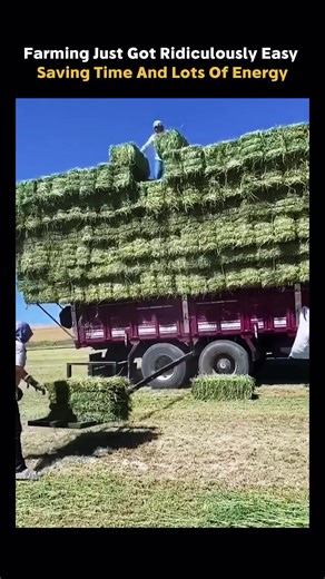What Looks Like Effortless Farm Work Is Actually A Smart Bale Handling System Designed For Modern Agriculture. These machines automatically collect, stack, and load hay bales with minimal manual effort. Using hydraulic arms, conveyor systems, or specialized loaders, the equipment organizes large numbers of bales quickly and safely. This reduces physical labor, speeds up field operations, and improves efficiency during harvest season. For large farms handling thousands of bales each year, automat