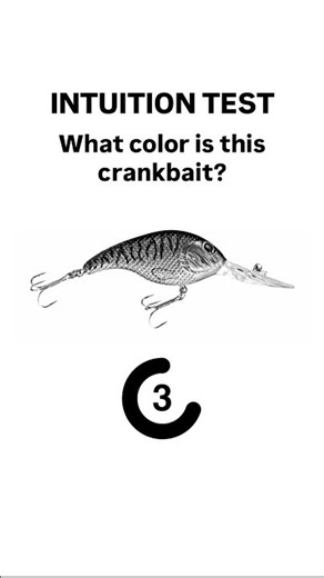 Drop your answer in the comments 👇