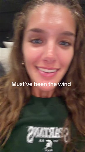 or wtv | must've been the wind