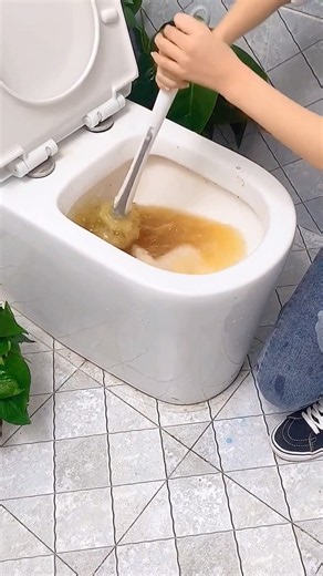 Tool Stuff! Toilet plunger