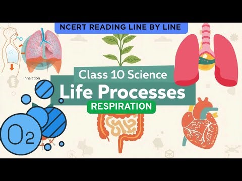 Respiration - Life Processes | Class 10th Science | NCERT Reading | Sanjay Kumar
