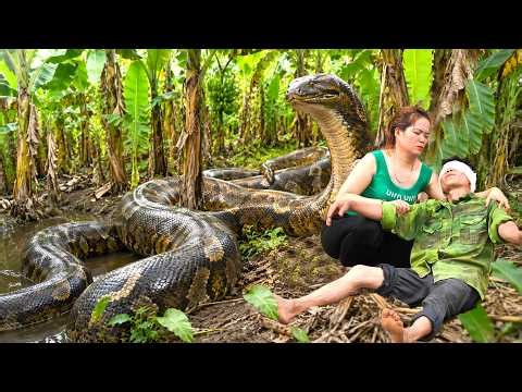 72 Hours Hunting in the Forest😱Father and Son Discover Giant Python Entering Their House to Lay Egg