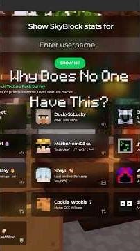 Why Does No One Have This??? | Hypixel Skyblock Profile Reviews [32]