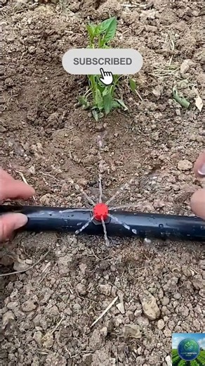 How to Install Drip Irrigation Emitters & Heavy Duty Tree Spade in Action #agritech #farming #viral