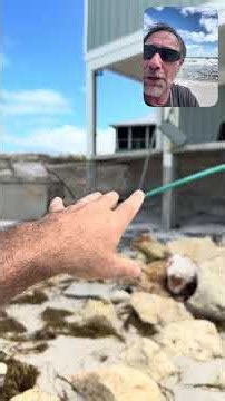 🌀🚨Catastrophic Damage🚨🌀Cape San Blas October 10th #capesanblas # #florida #Isaias #hurricane