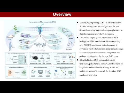 iMeta | Nanopore Direct RNA-seq & Epitranscriptome: Advances in Mapping Native RNA Landscapes