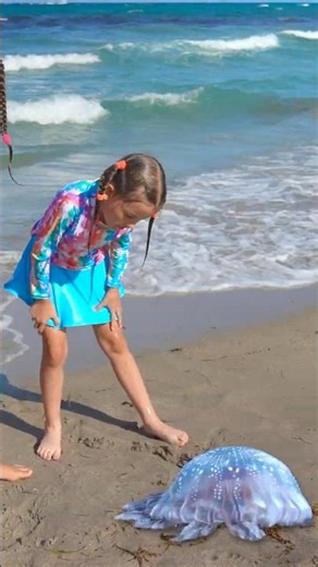 Jellyfish at the Beach! 🪼 Beach Safety for Kids