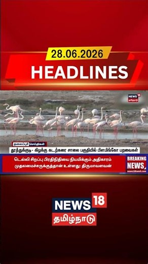 Thoothukudi flamingo birds | தூத்துக்குடி- கிழக்கு கடற்கரை சாலை பகுதியில் பிளமிங்கோ பறவைகள்