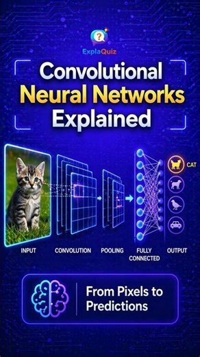 Convolutional Neural Networks Explained