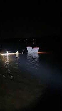 Rescue video shows moments after Tom Tiffany's plane crash