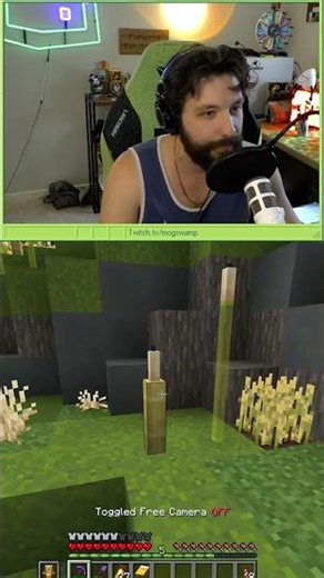 does this look like reeds?