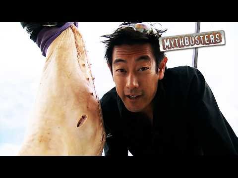Can You Make A Bullet Out Of Human Teeth? | MythBusters