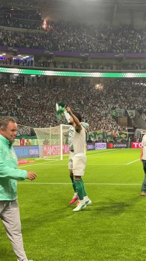 Palmeiras: latest updates and fan highlights