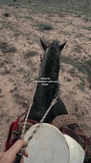 Rancho y caballos: volverás a verme pero cada vez mejor