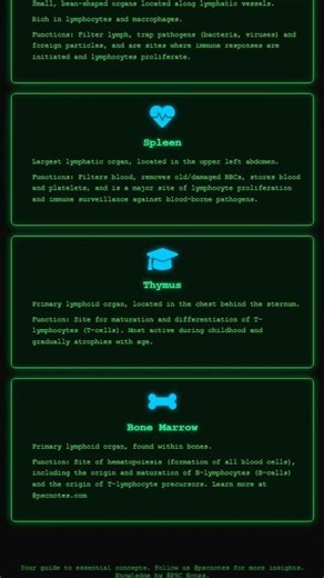Lymphatic System: Lymph, Lymph Vessels, Lymph Nodes, Spleen, Thymus – Functions