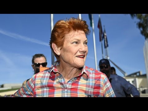 ‘Genuine change in Australian politics’: One Nation’s ‘strength’ continues to increase